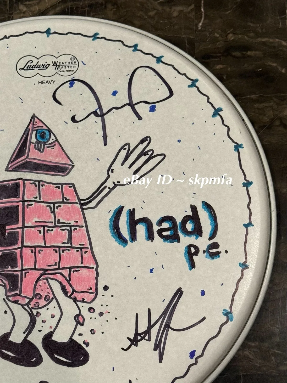 HED PE Band Signed 14" Drumhead Auto 💯 Official Merch 🥁, image 5