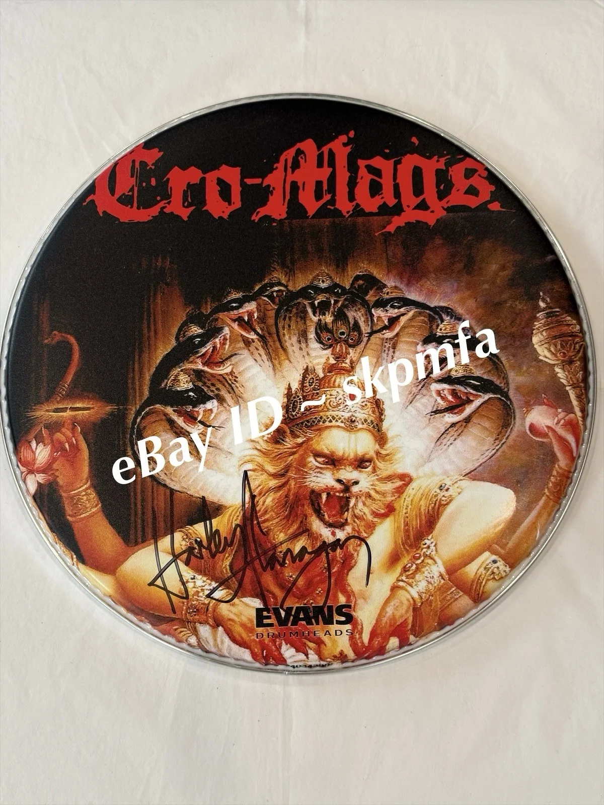 HARRY FLANAGAN CRO-MAGS Signed Drumhead 15" 💯 OFFICIAL MERCH Best Wishes Art, изображение 2