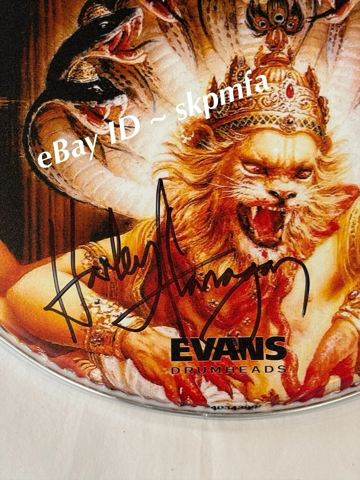 HARRY FLANAGAN CRO-MAGS Signed Drumhead 15" 💯 OFFICIAL MERCH Best Wishes Art, изображение 3