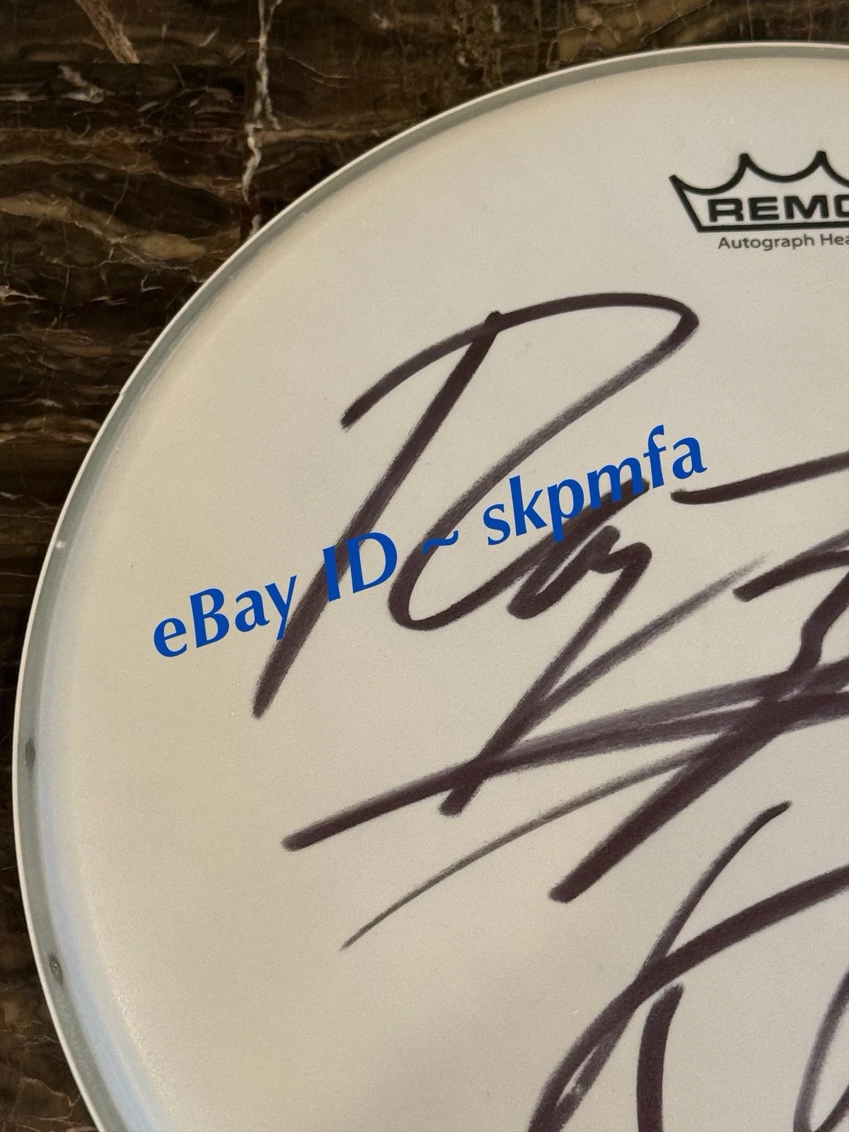 RAY LUZIER ~ KORN - SIGNED Drum Head 🥁 💯 AUTHENTIC Merch AUTO 15", image 3