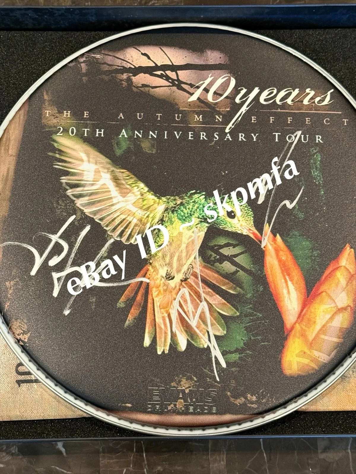 10 YEARS Band SIGNED Drumhead The Autumn Effect 20th 💯 Official Merch, image 4