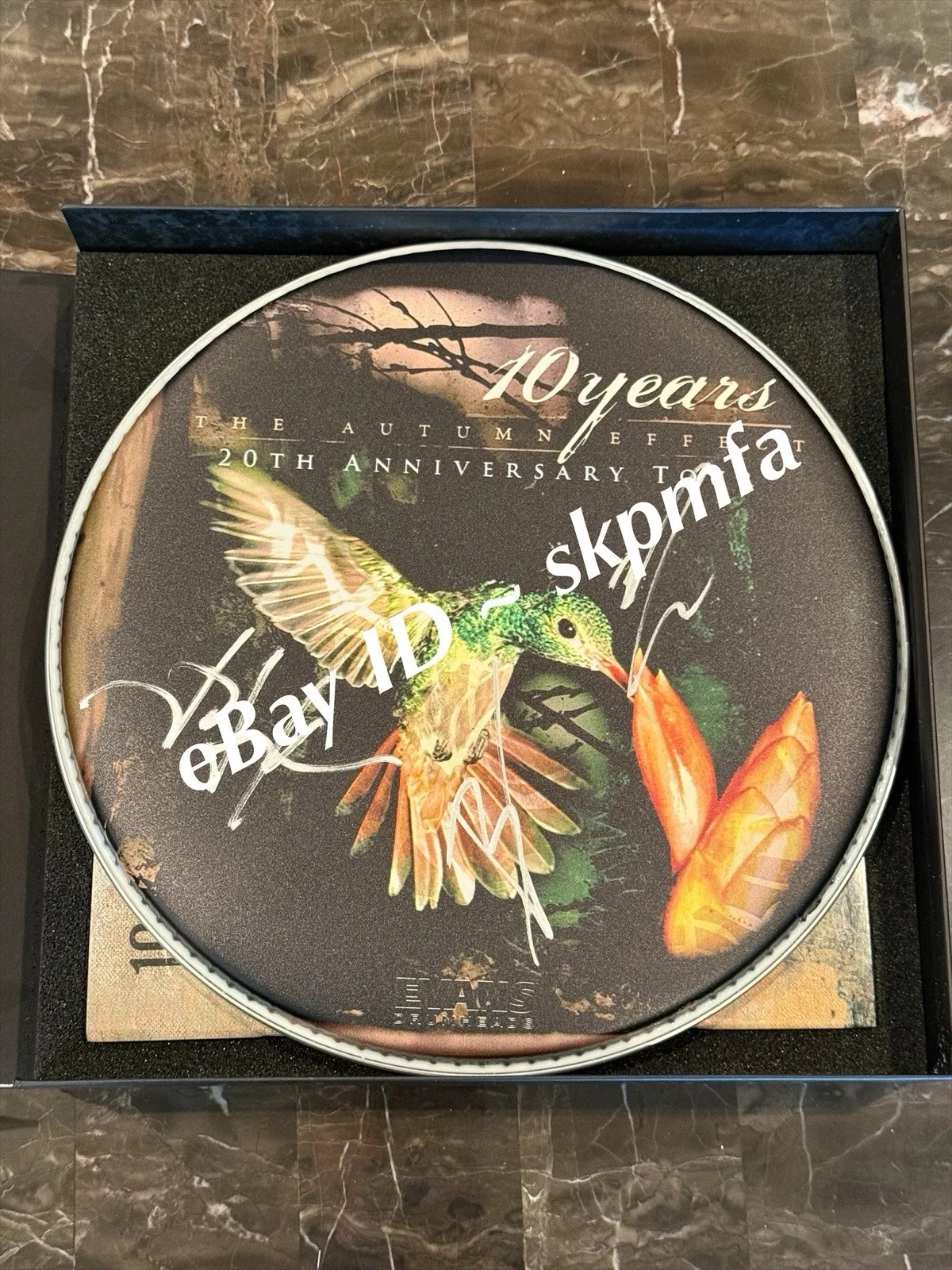 10 YEARS Band SIGNED Drumhead The Autumn Effect 20th 💯 Official Merch, image 5
