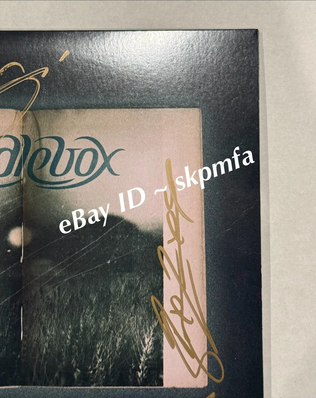 CANDLEBOX - Signed Vinyl 💯 Official Merch The Long Goodbye - Denver CO 🔥 Auto, image 3