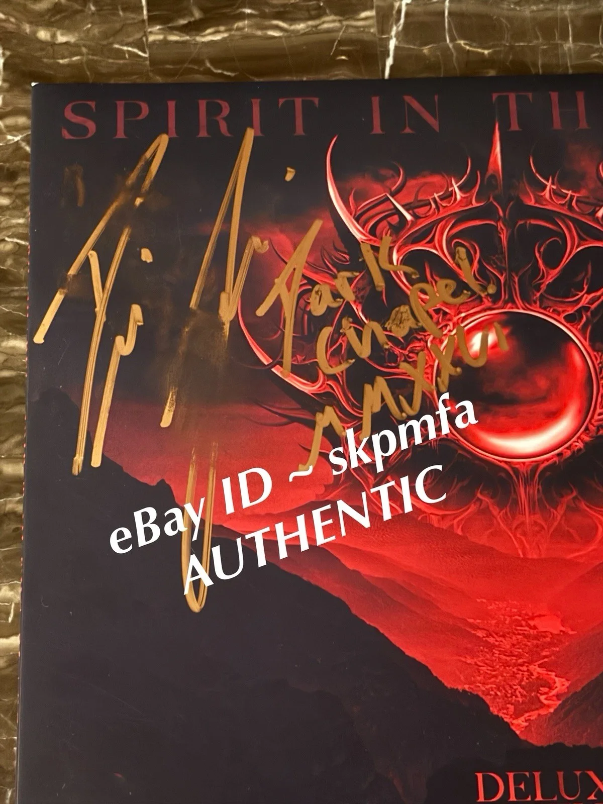 DARIO LORINA Signed Vinyl Album Dark Chapel 💯Authentic BLS *See Pics*, image 2