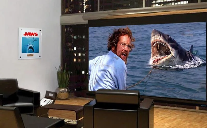 JOHN WILLIAMS, RICHARD DREYFUSS — JOHN WILLIAMS & RICHARD DREYFUSS Signed JAWS Autograph, Frame, COA UACC#228, DVD, image 2