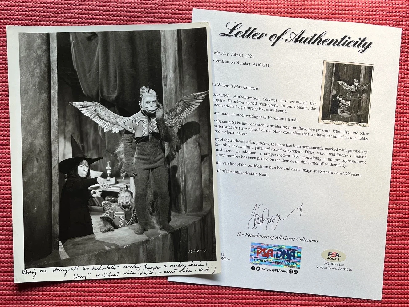 Margaret Hamilton — PSA LOA autographed MARGARET HAMILTON signed WICKED WITCH Photo Wizard of Oz