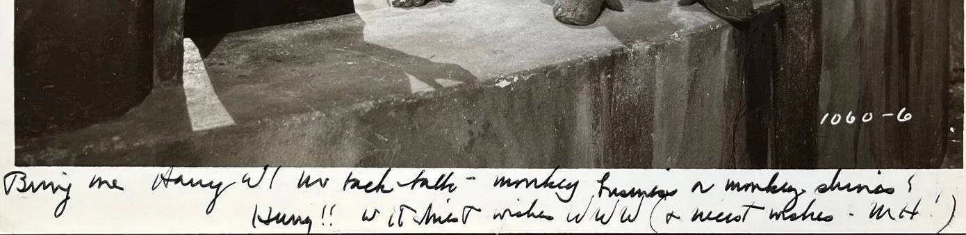Margaret Hamilton — PSA LOA autographed MARGARET HAMILTON signed WICKED WITCH Photo Wizard of Oz, image 3