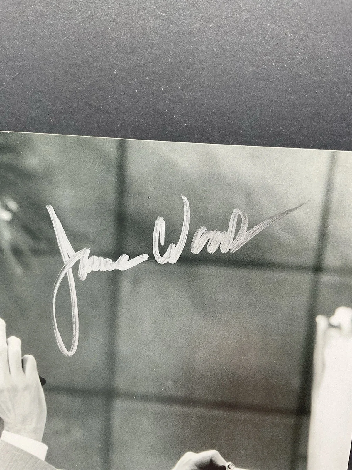James Woods — James Woods Signed 8x10 The Getaway signed photo SWAU auto James Woods autograph, изображение 2