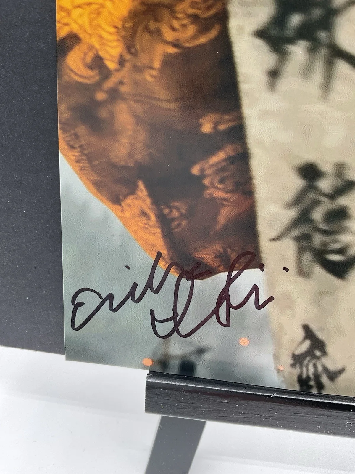 Erika Ishii — Erika Ishii signed 8x10 Ghost of Yotei signed 8x10 Atsu photo SWAU Video game, изображение 2