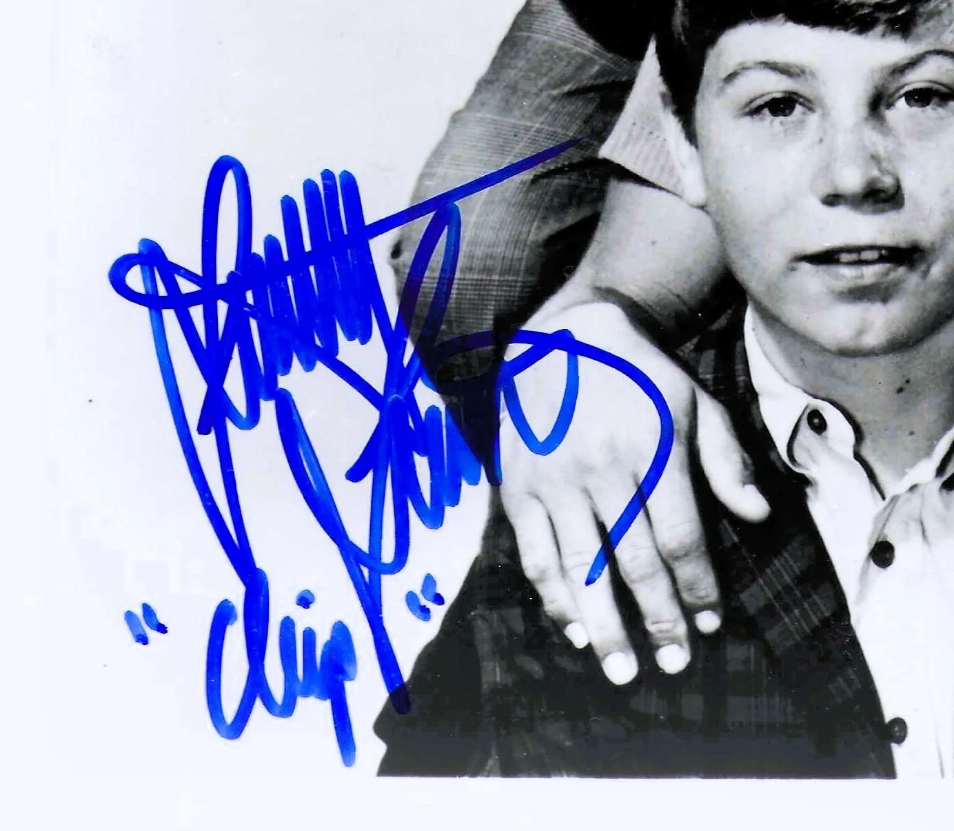 Don Grady, Stanley Livingston — MY THREE SONS signed by DON GRADY & STANLEY LIVINGSTON 8x10 UACC COA, изображение 3