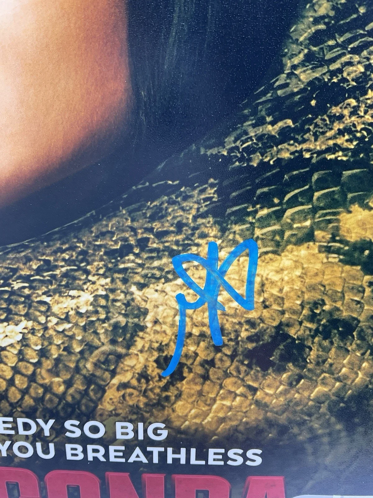 Daniela Melchior — Daniela Melchior signed photo Anaconda signed 8x10 signed snake SWAU autographed, изображение 2