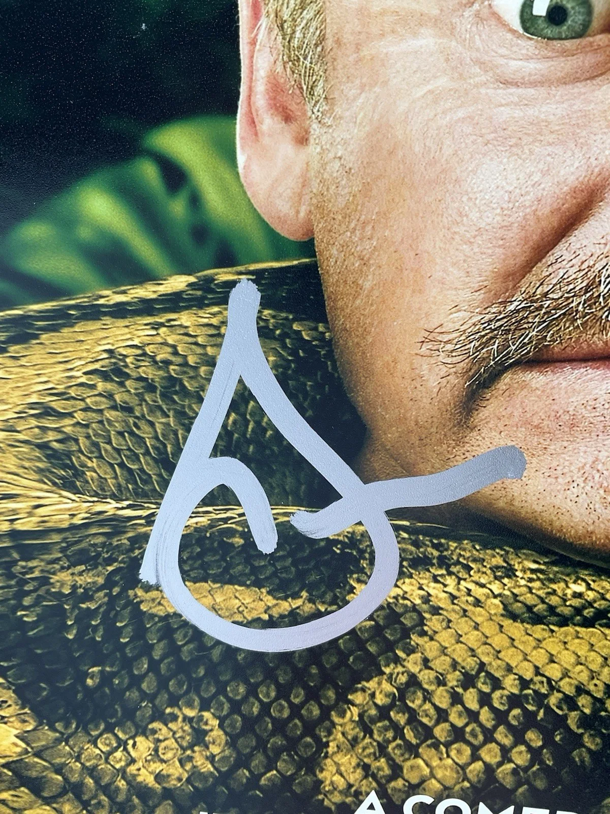 Steve Zahn — Steve Zahn signed photo Anaconda signed 8x10 snake SWAU Buffalo autographed, изображение 2