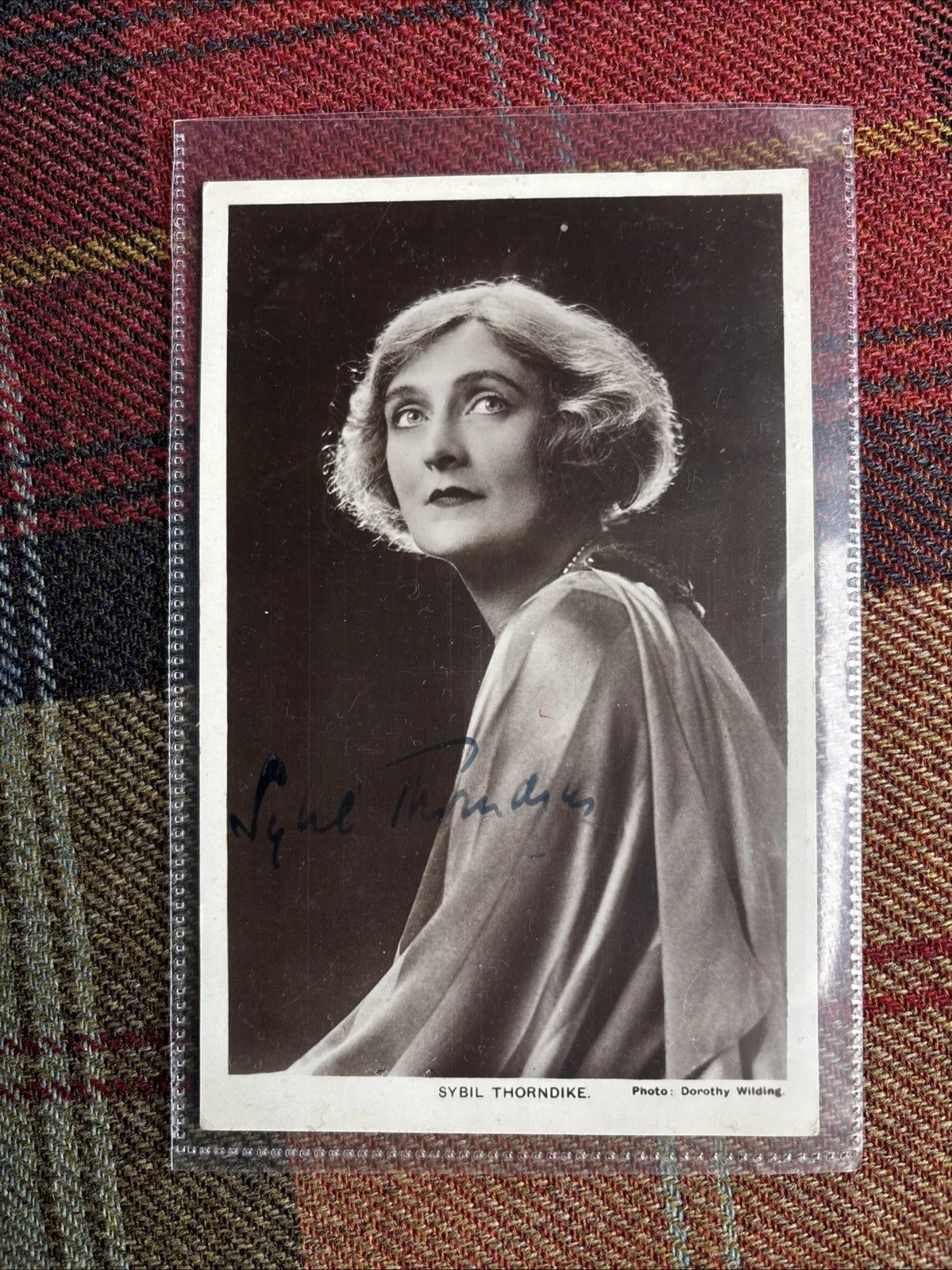 Collection of Old Hollywood Postcards Mostly signed, image 2