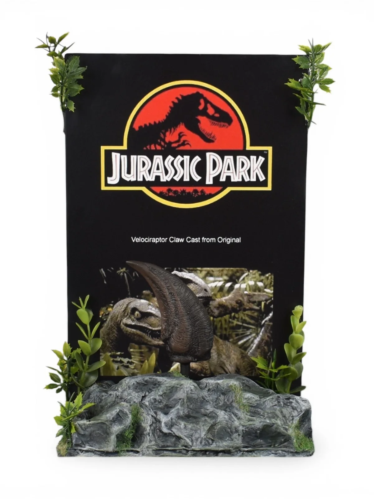 Jurassic Park (1993) Small Velociraptor Claw Prop 'Cast Directly from Original', image 2