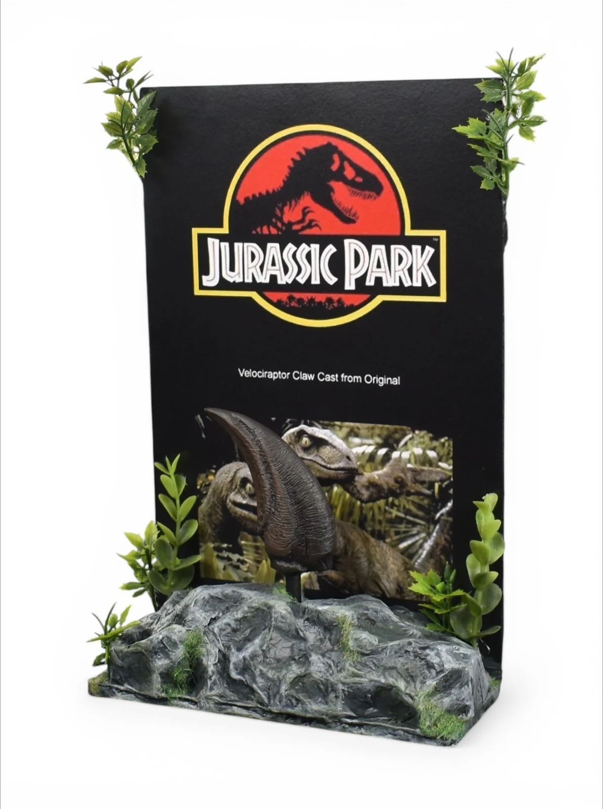 Jurassic Park (1993) Small Velociraptor Claw Prop 'Cast Directly from Original', image 3