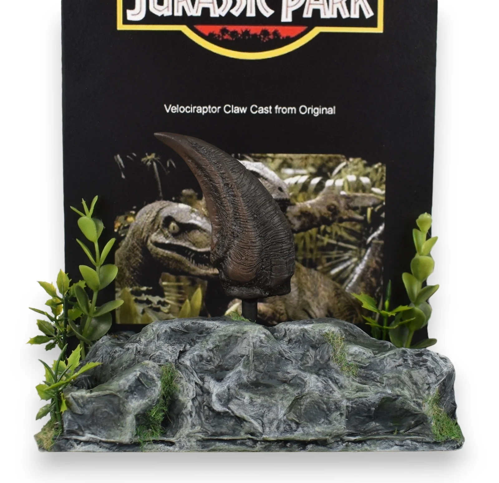 Jurassic Park (1993) Small Velociraptor Claw Prop 'Cast Directly from Original', image 4