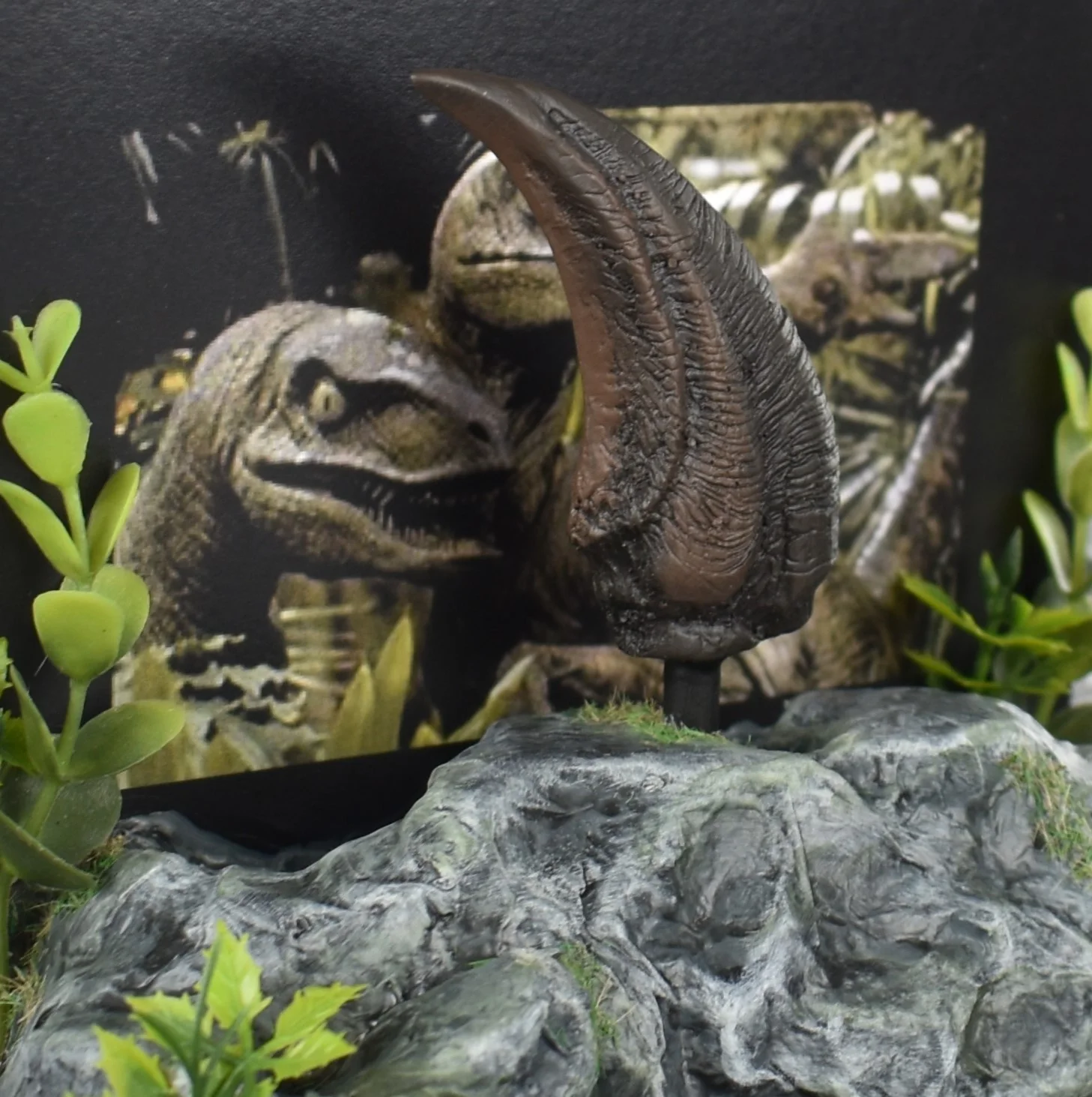 Jurassic Park (1993) Small Velociraptor Claw Prop 'Cast Directly from Original', image 5