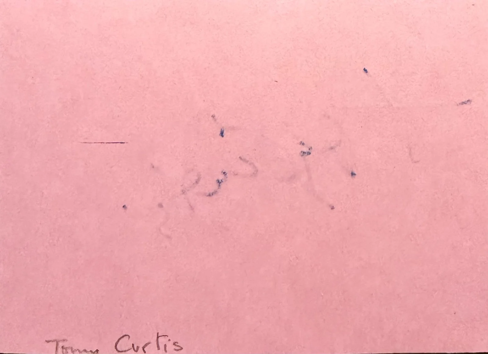 Tony Curtis — TONY CURTIS Autograph Signed 4x 5 ALBUM PAGE Some Like It Hot Houdini SPARTACUS, image 4