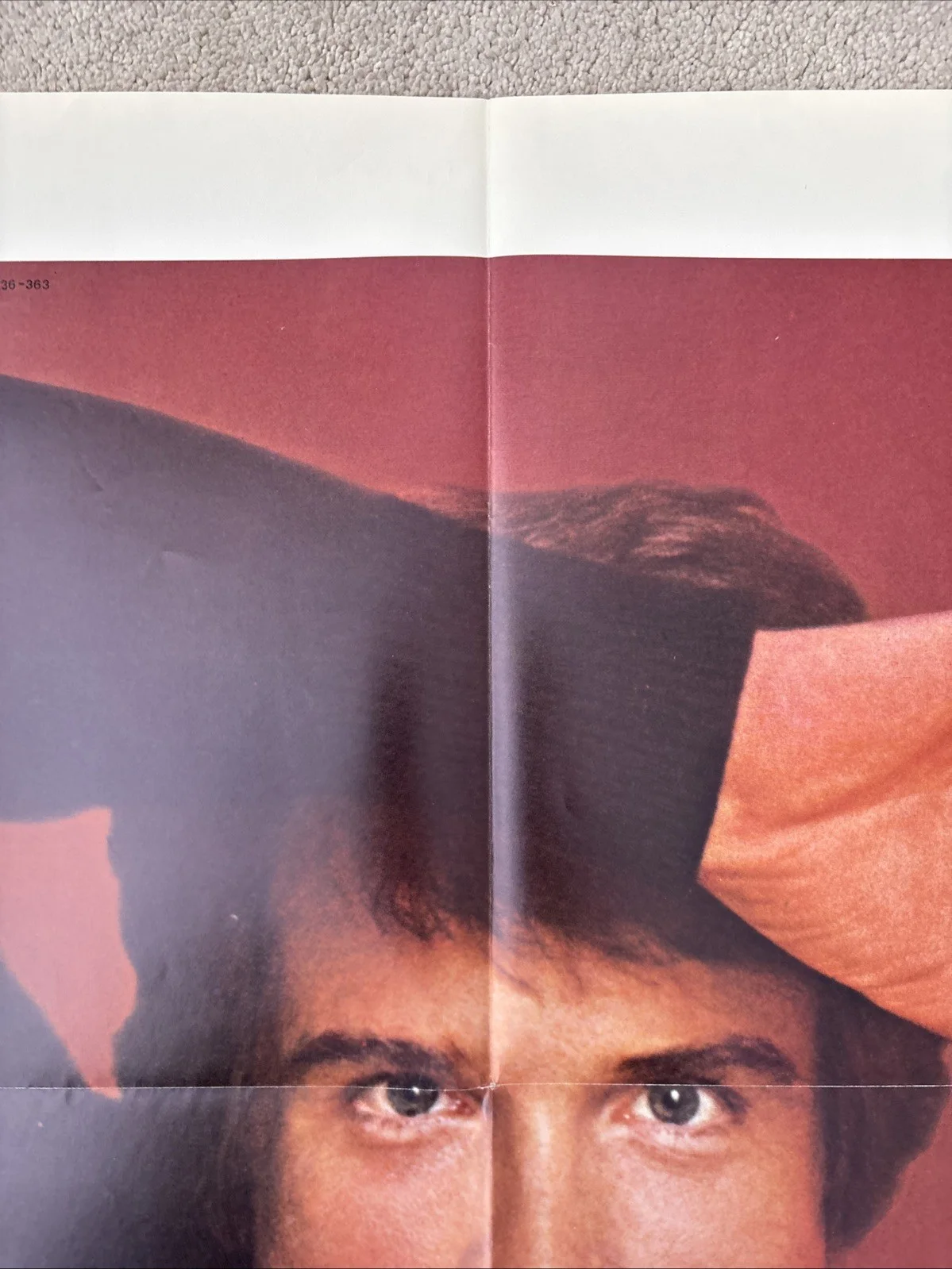 Shampoo (1975) Original US One Sheet Movie Poster, изображение 3