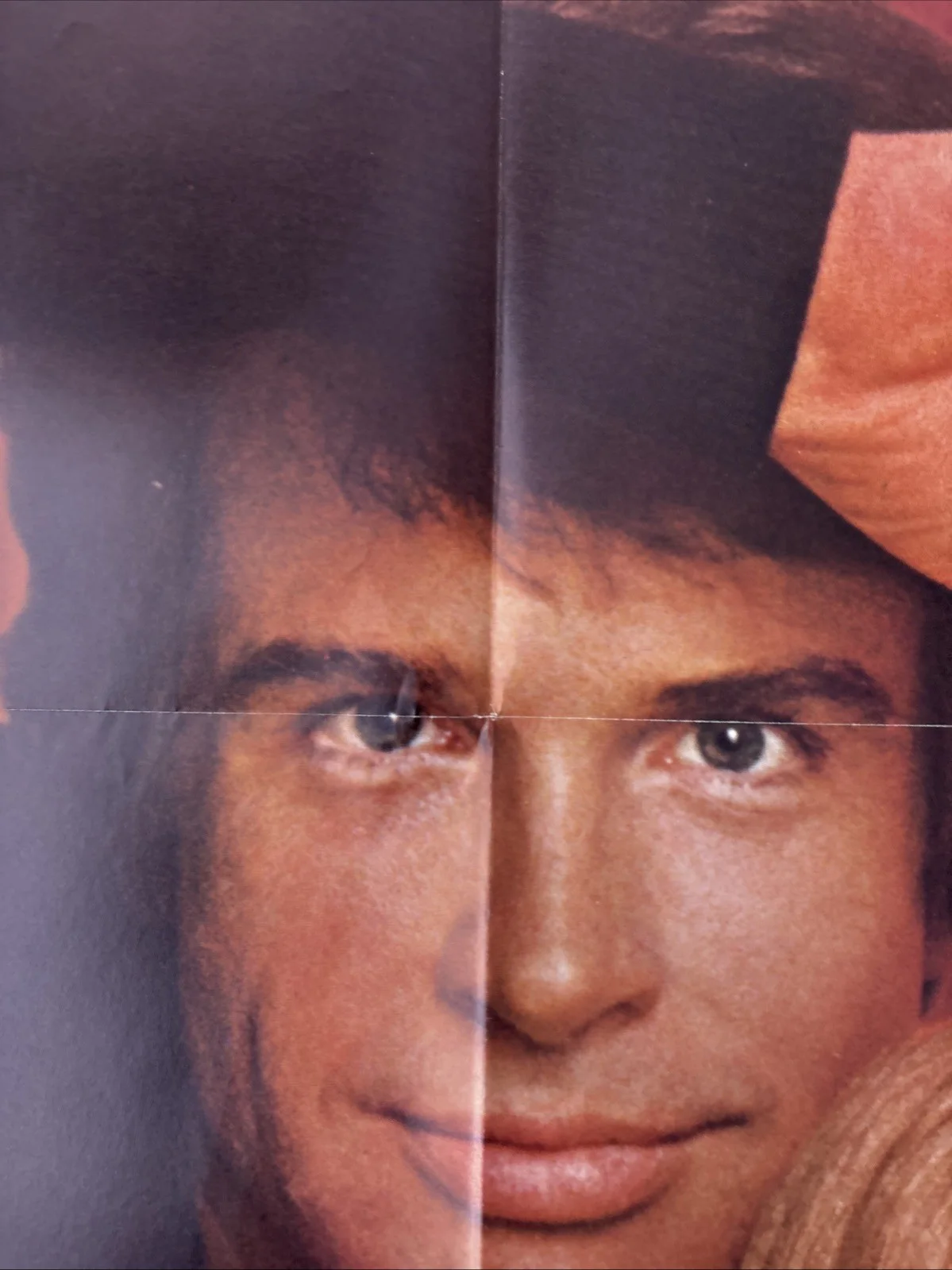 Shampoo (1975) Original US One Sheet Movie Poster, изображение 5
