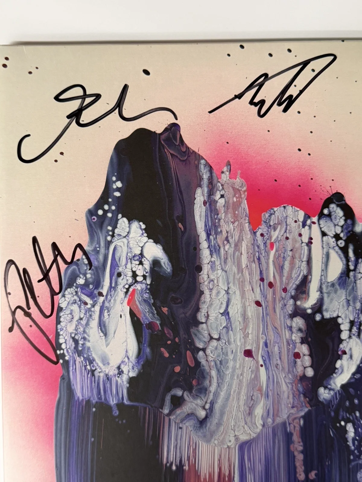 Peter Anspach, Ben Atkind, Rick Mitarotonda, Jeff Arevalo, Trevor — Goose Signed Dripfield Album Vinyl Cover x5 Band Autographs JSA LOA YY63409, изображение 3