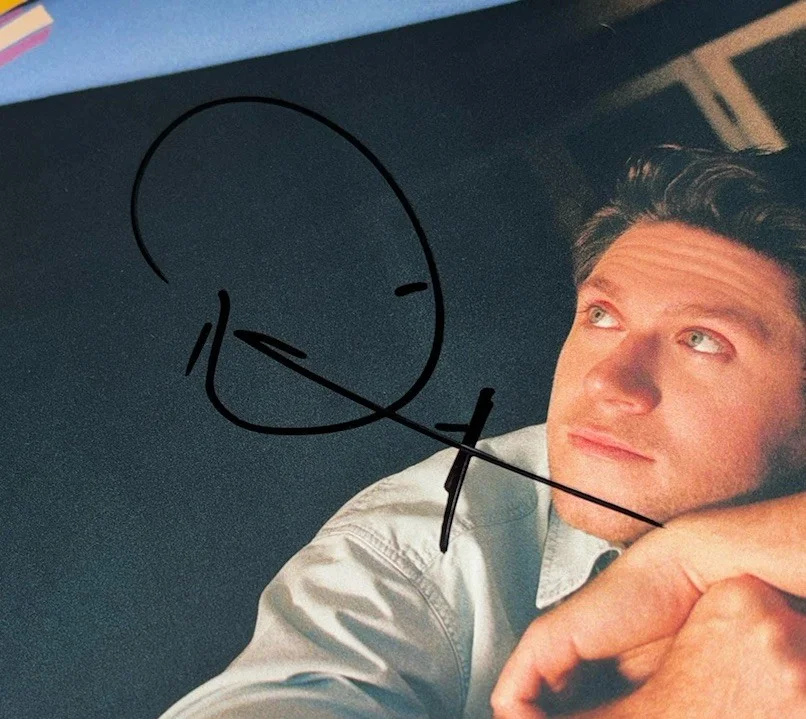 Niall Horan Signed Vinyl Album The Show One Direction With Proof, изображение 2