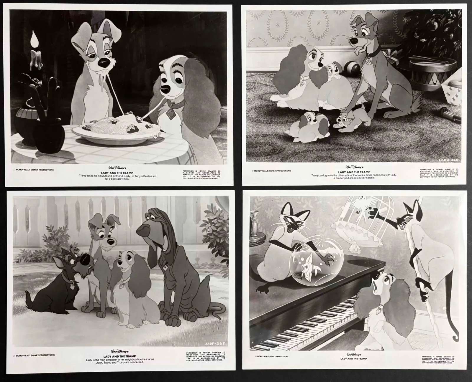 Lady and the Tramp ORIGINAL Rerelease Press Kit + Stills Disney, изображение 3