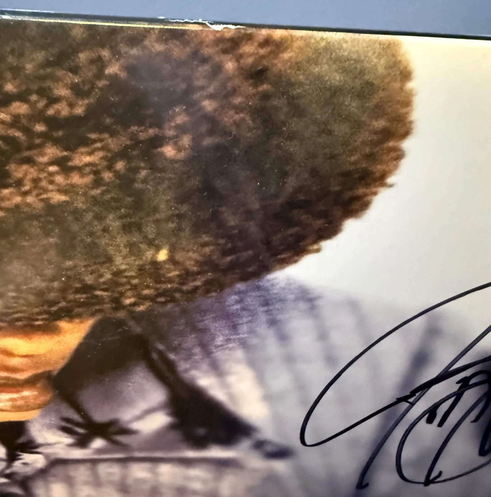 Jill Scott signed Who Is Jill Scott? 12" lp album, изображение 3