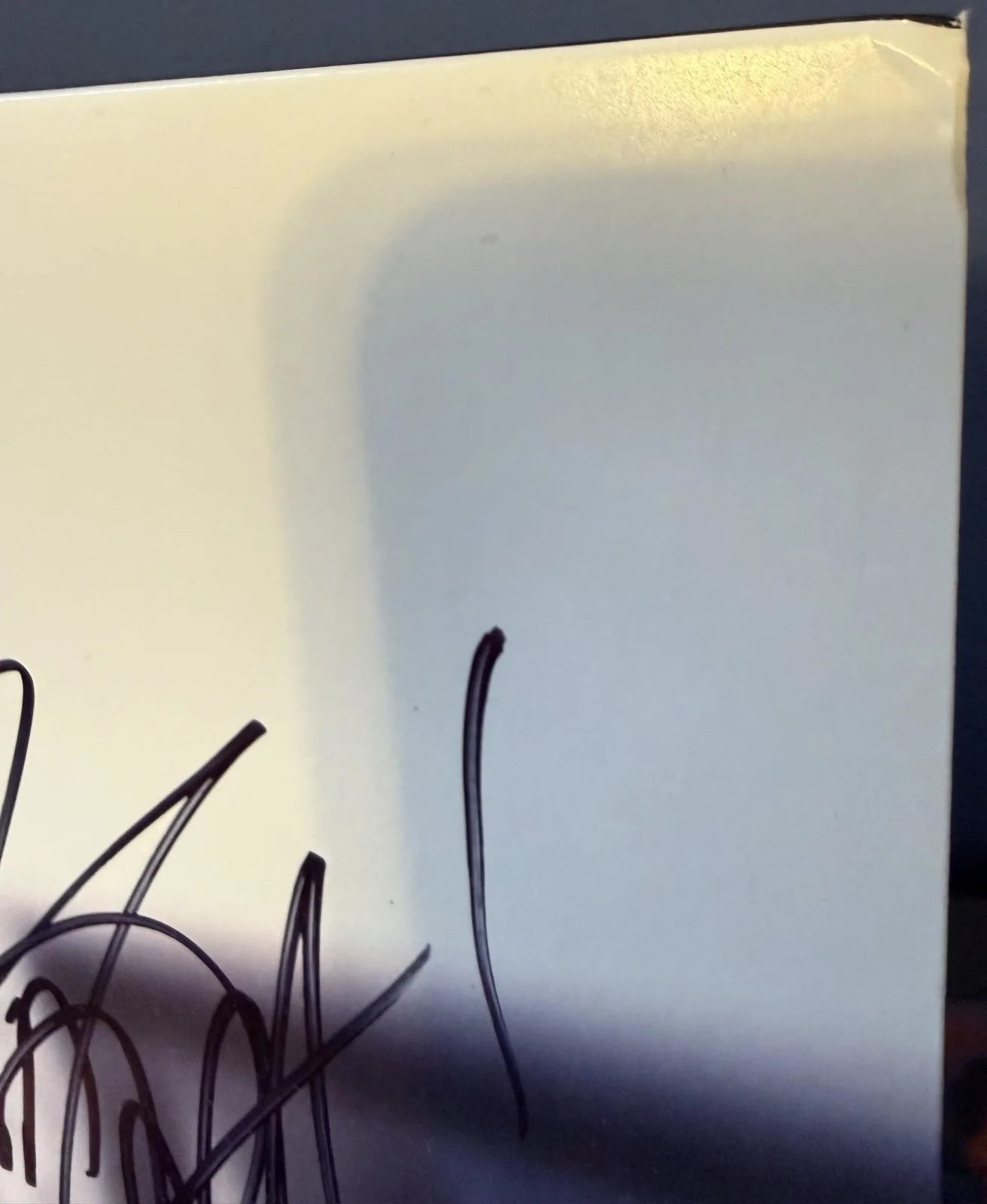 Jill Scott signed Who Is Jill Scott? 12" lp album, изображение 4