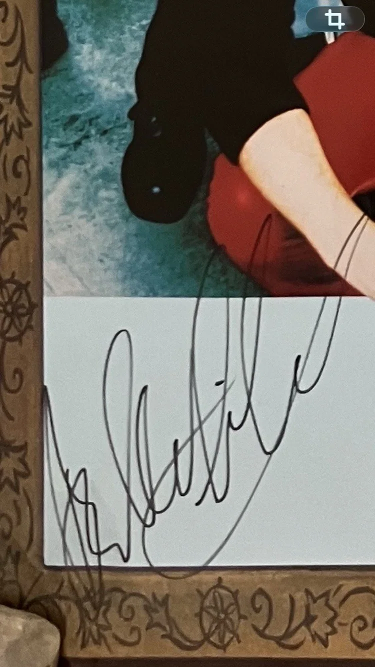 AEROSMITH SIGNED/AUTOGRAPHED CONCERT POSTER WITH COA, image 4