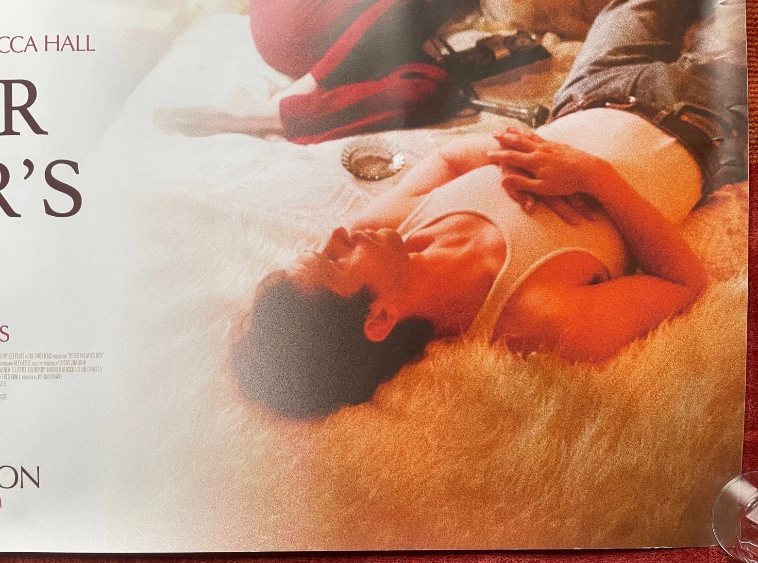PETER HUJAR'S DAY (2025) Original UK Quad Movie Poster Ben Whishaw, Rebecca Hall, изображение 5
