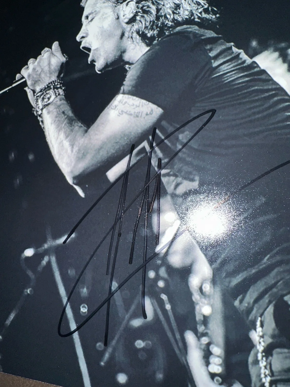 Autographed Scott Stapp (Creed) 8x10 Photo, image 2