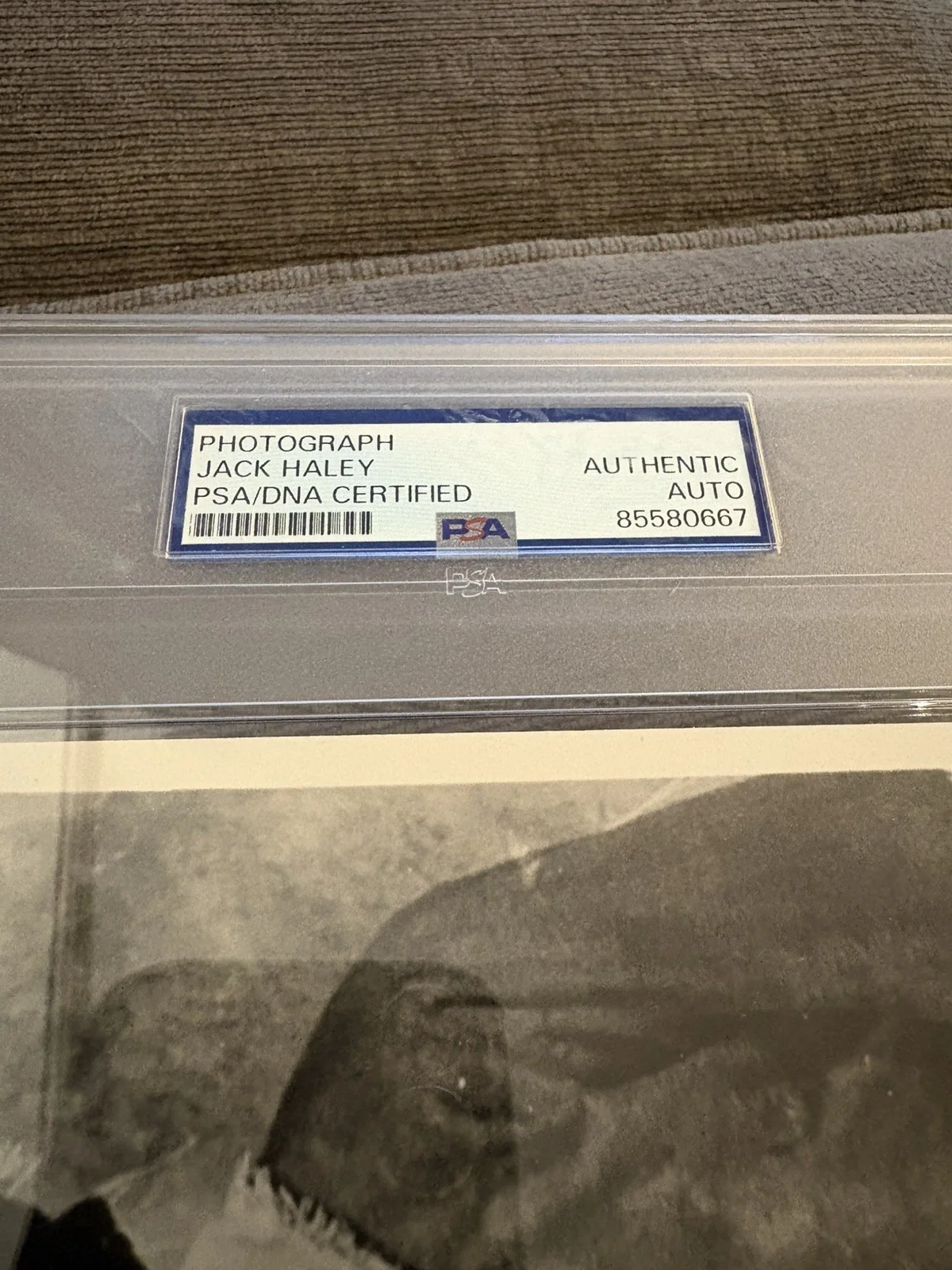 PSA/DNA SIGNED and Encapsulated Jack Haley 8x10 photo - JG Autographs COA, изображение 3