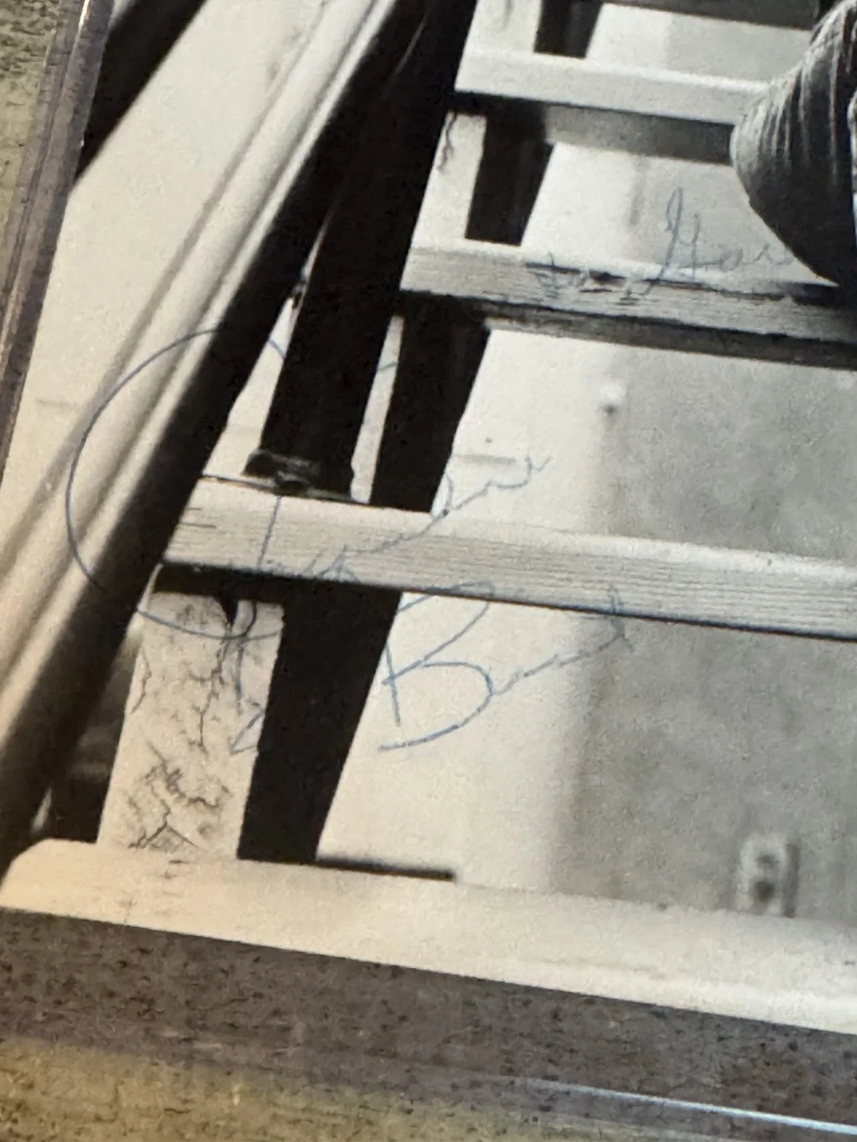 Jacqueline Bisset — Jacqueline Bisset Airport 1970 8x10 Signed Vintage Original Photographs COA, изображение 2