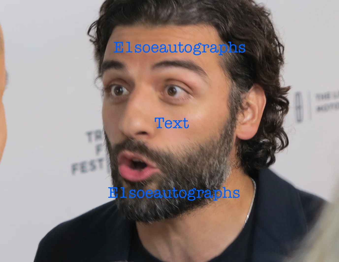 Oscar Isaac — Oscar Isaac signed Two Faces January 8x10 Photo - Star Wars The Force Awakens, image 4