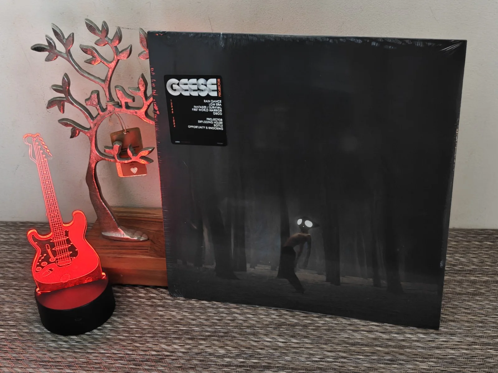 GEESE PROJECTOR VINYL With Signed Insert, image 2