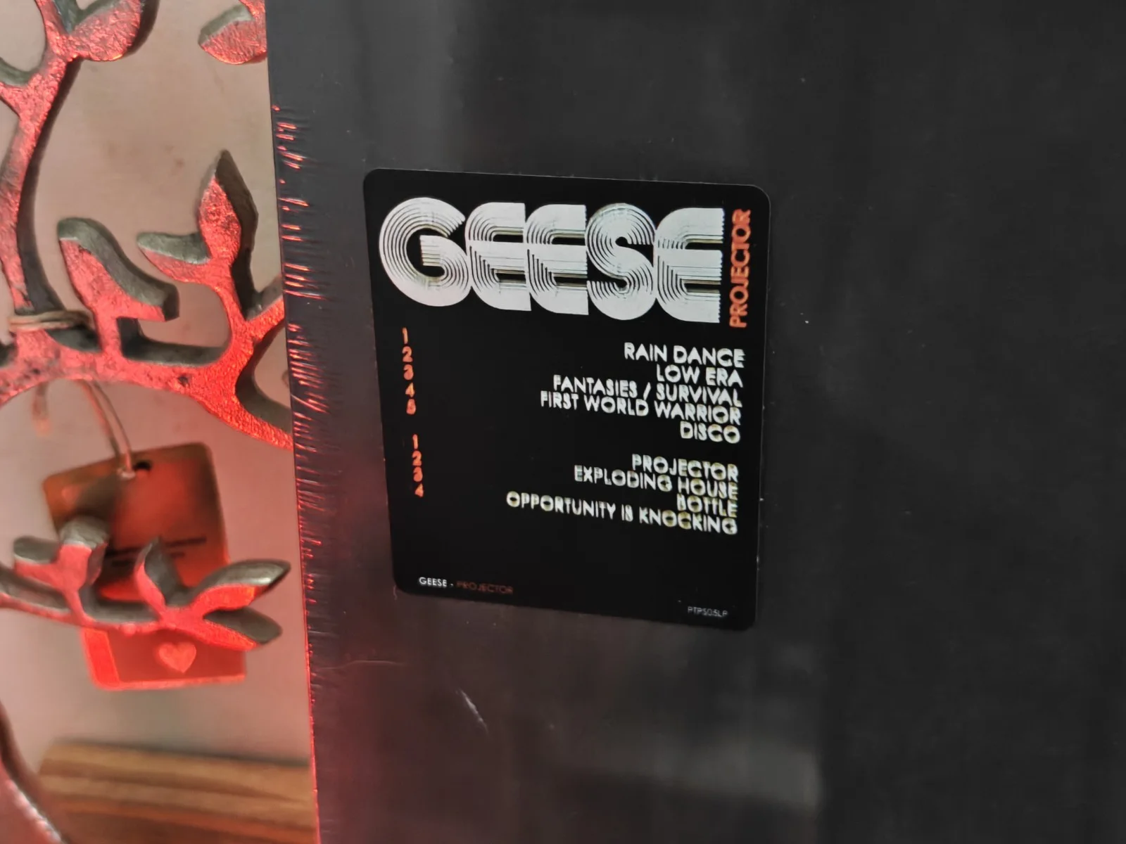 GEESE PROJECTOR VINYL With Signed Insert, image 3