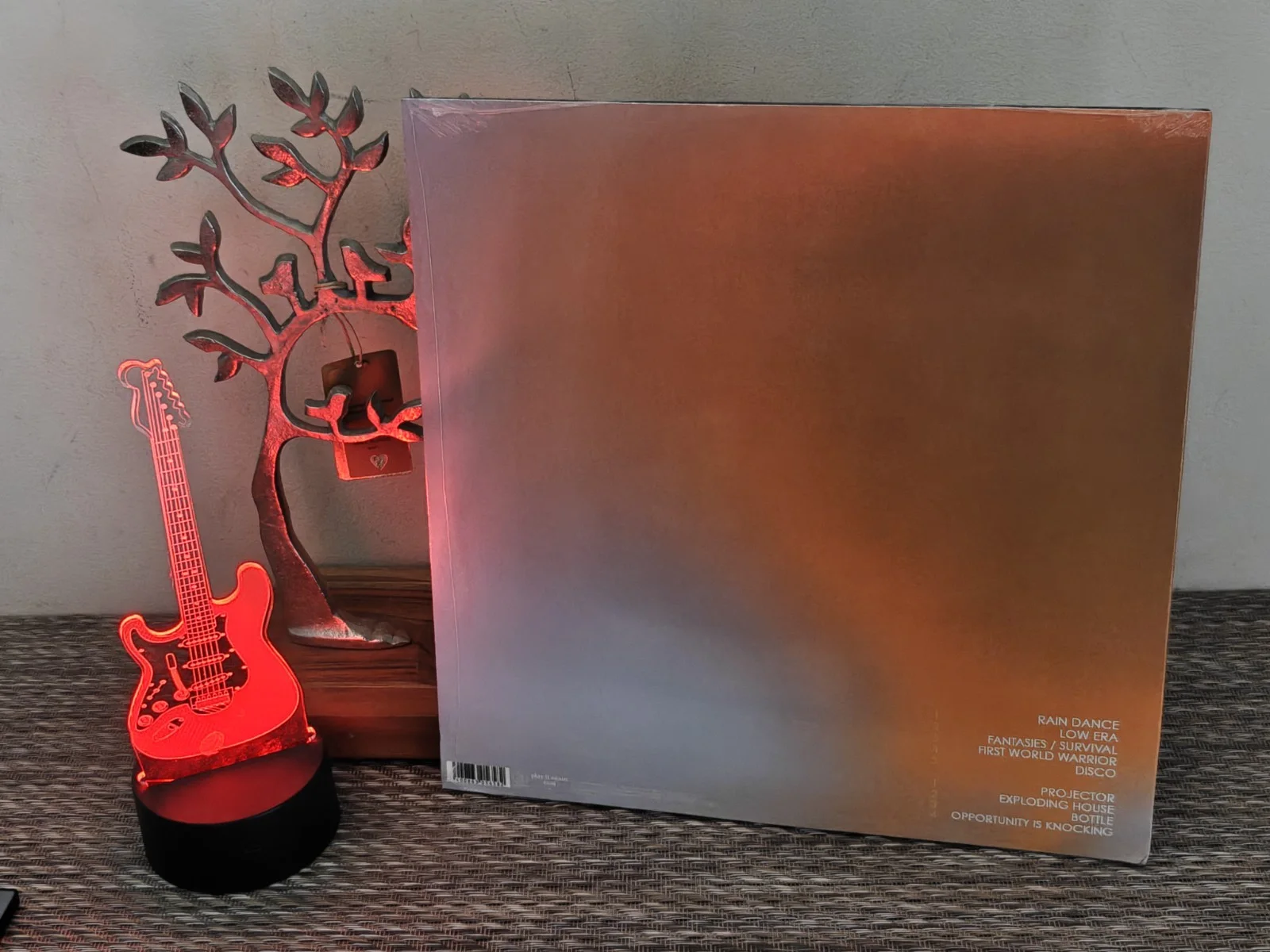 GEESE PROJECTOR VINYL With Signed Insert, image 4