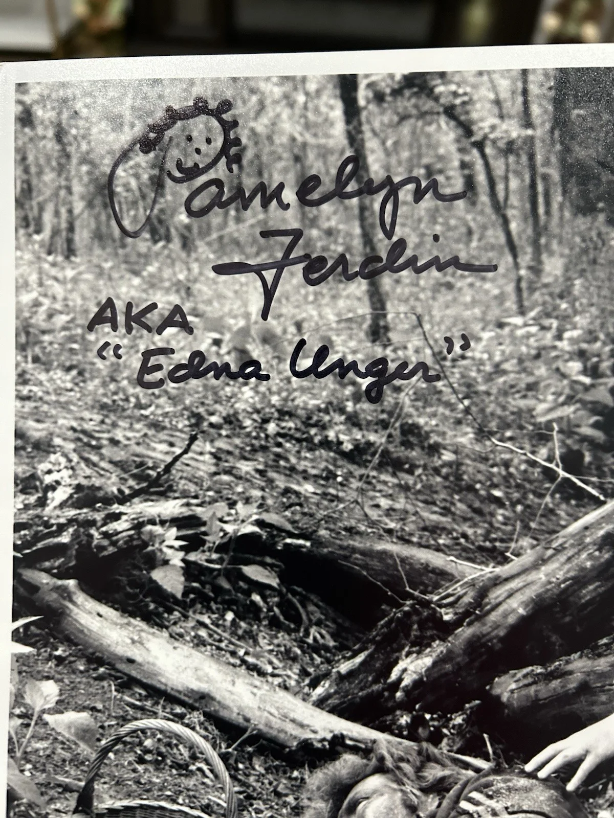 Pamelyn Ferdin — Pamelyn Ferdin Actress Hand Signed Autograph 8x10 Photo, изображение 2