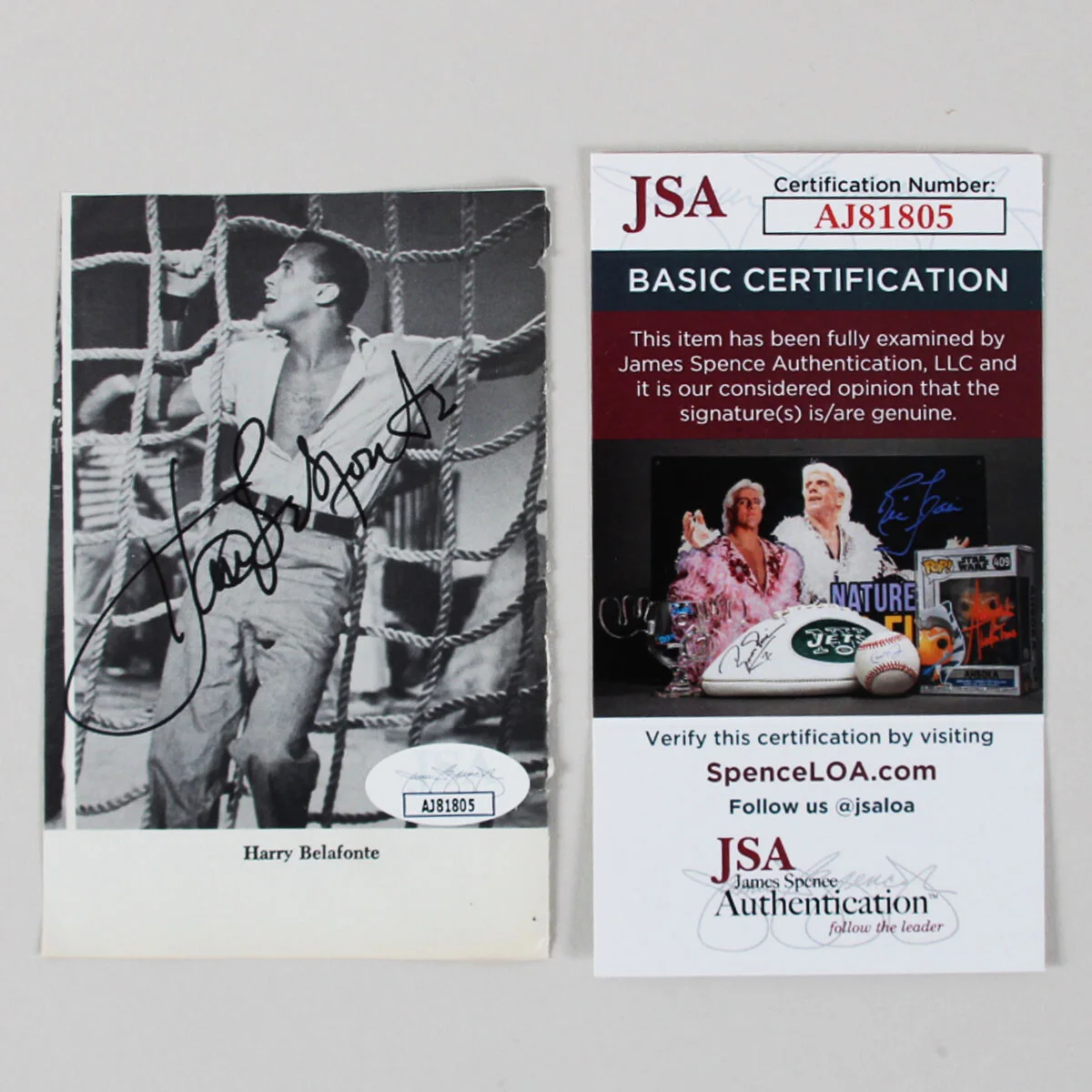Harry Belafonte Signed Photo - COA JSA, image 4