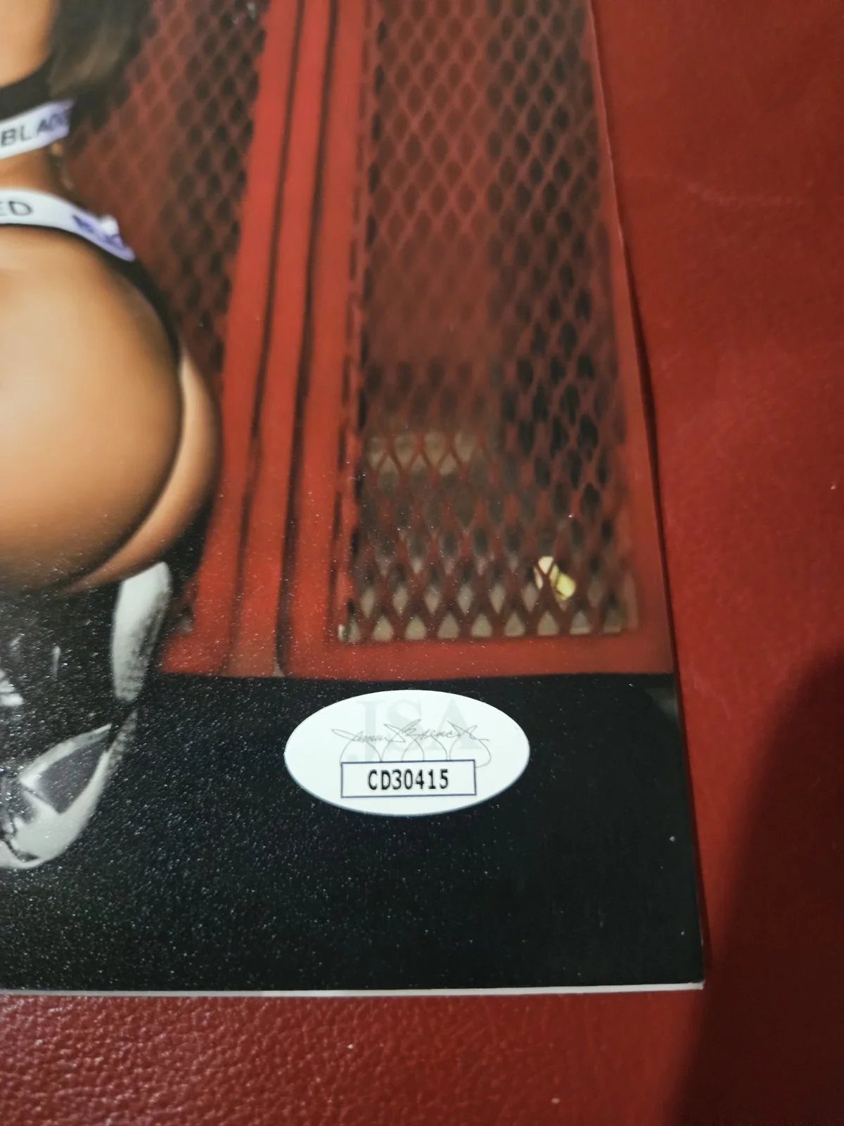 Gabbie Carter, Riley Reid — Riley Reid Gabbie Carter Dual Signed 11x14 Photo Adult Star Autographed JSA COA, изображение 4