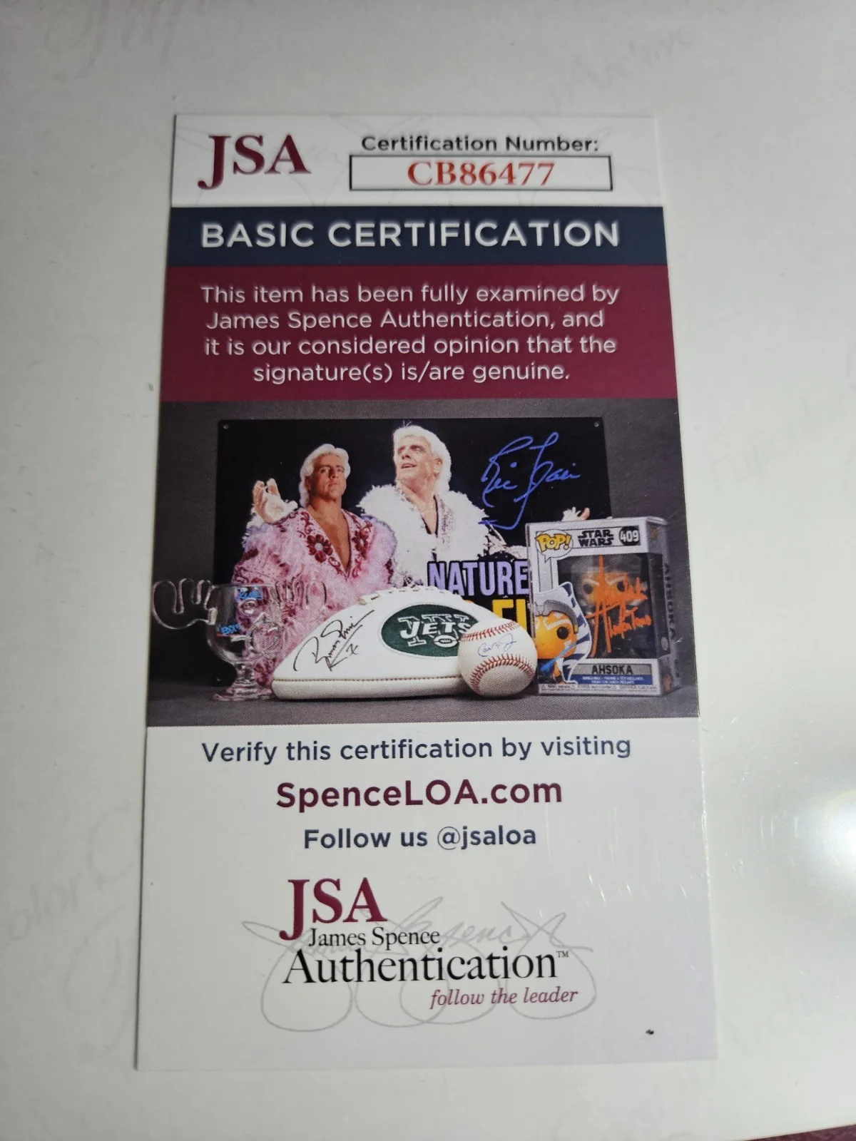 Riley Reid — Riley Reid Signed 8x10 Photo Adult Star Autographed JSA COA, изображение 4