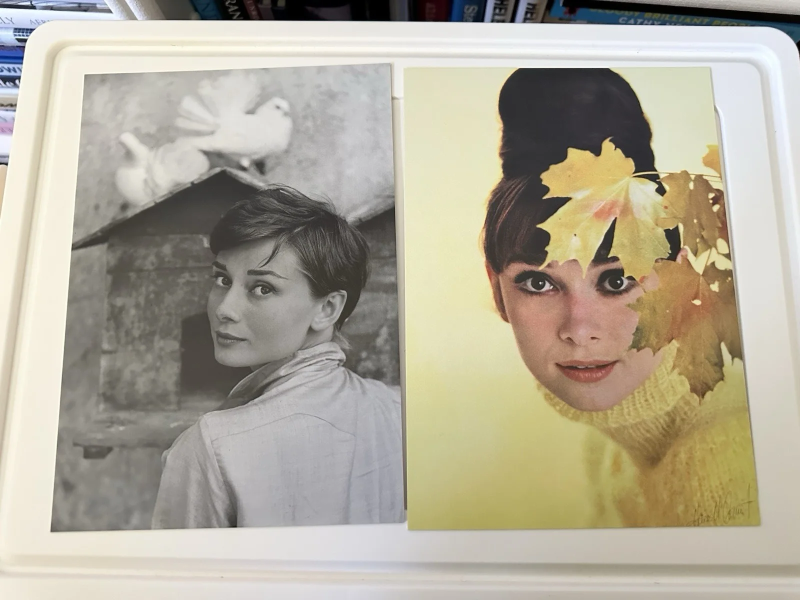 Audrey Hepburn Christie’s Auction 7 Postcards Collectable, image 3