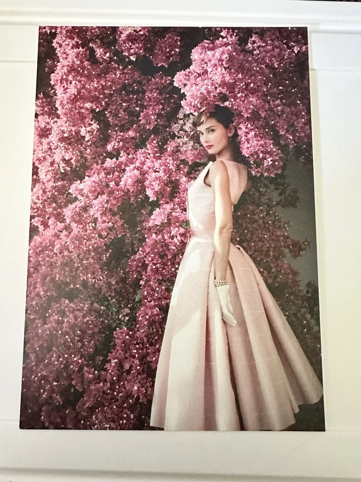 Audrey Hepburn Christie’s Auction 7 Postcards Collectable, image 4