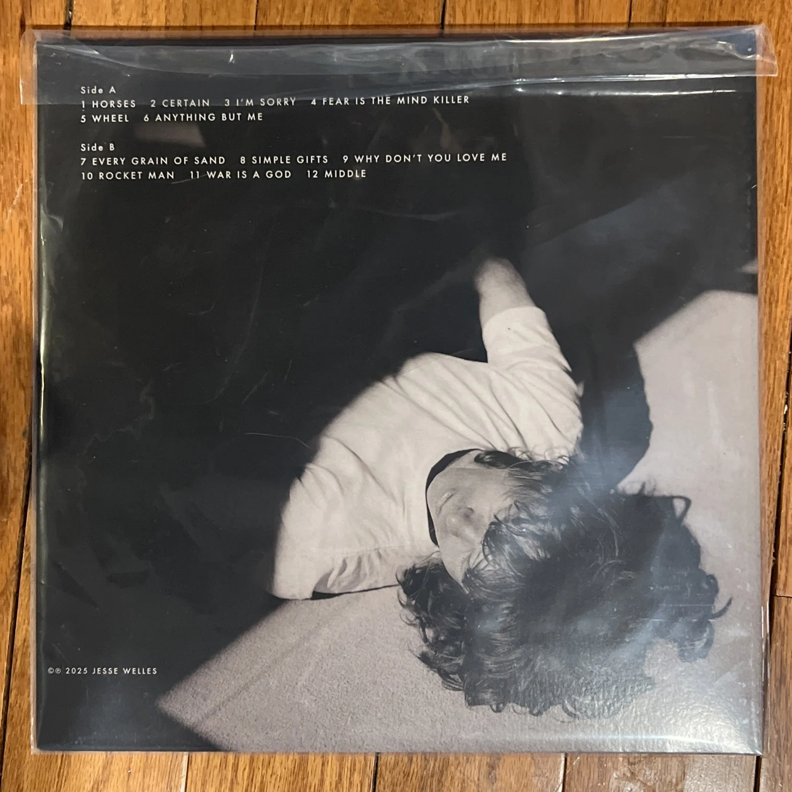 Jesse Welles “Middle” signed vinyl, image 2
