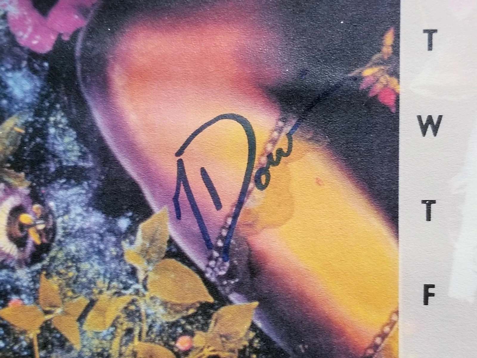 Vintage Tragically Hip Signed Fully Completely Poster / Calendar MCA 1993 RARE, изображение 2