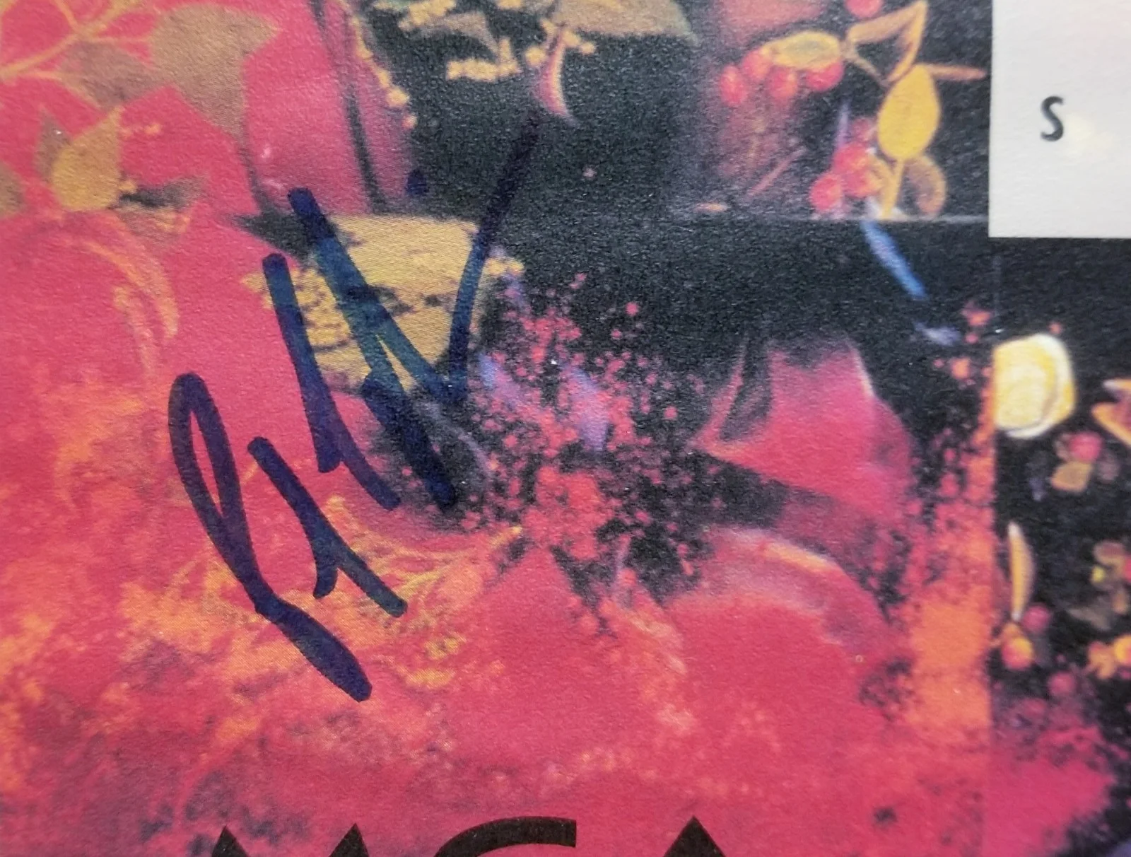 Vintage Tragically Hip Signed Fully Completely Poster / Calendar MCA 1993 RARE, изображение 3