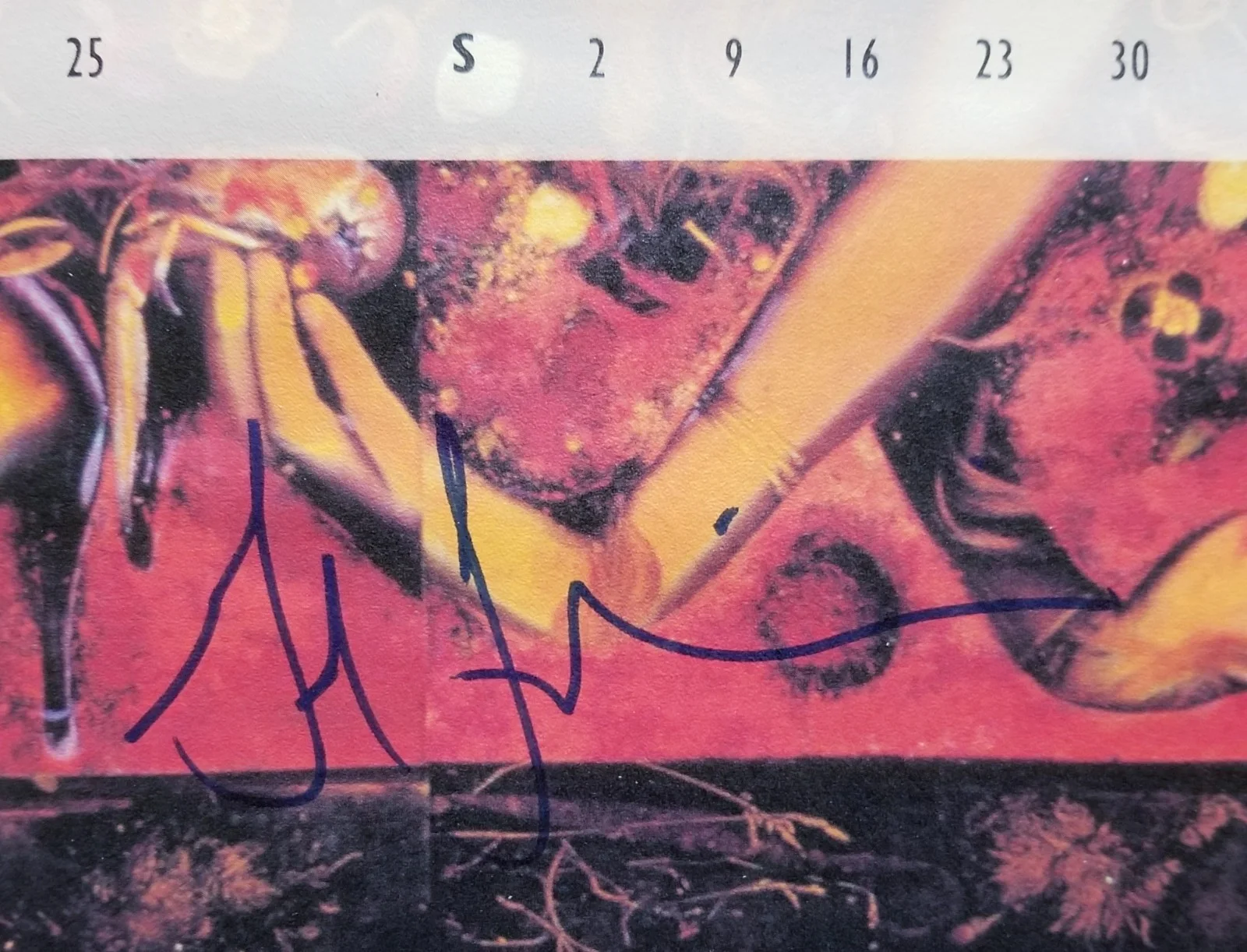 Vintage Tragically Hip Signed Fully Completely Poster / Calendar MCA 1993 RARE, изображение 4