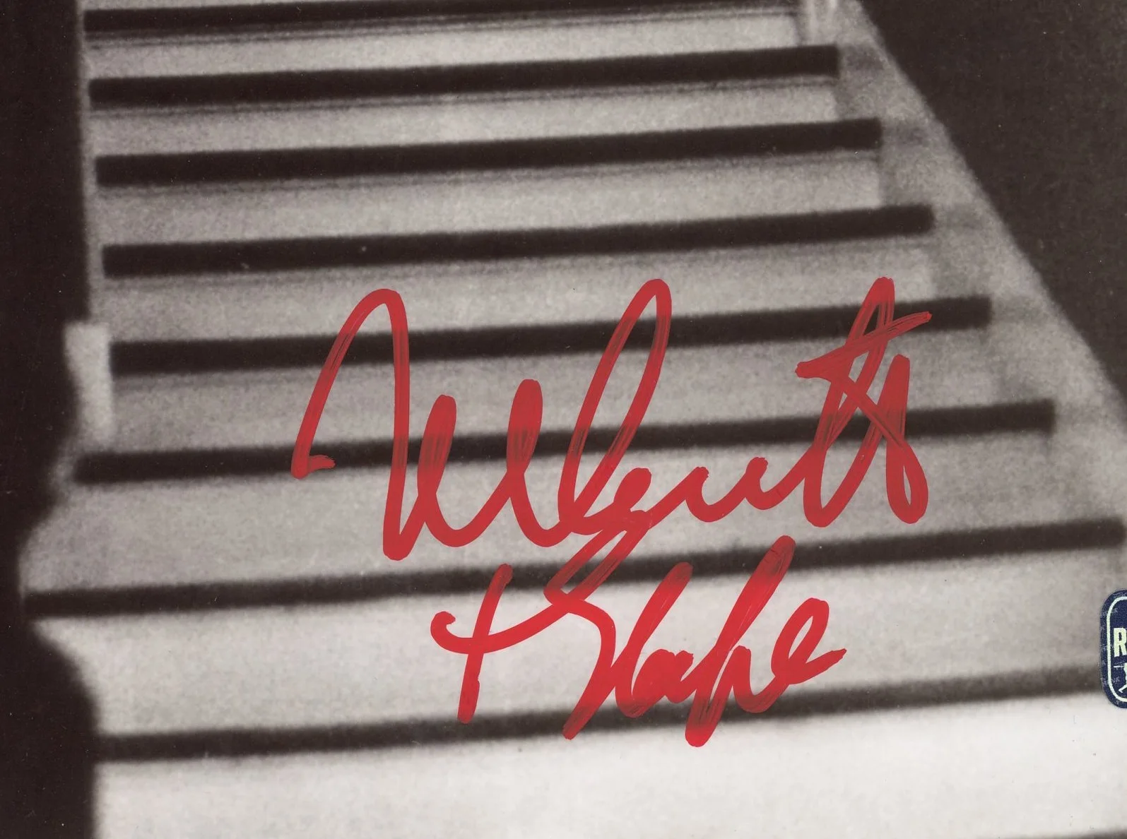 Nick Castle — Nick Castle Signed Halloween Unframed 8x10 Top of Stairs Photo -"The Shape" Insc, изображение 2