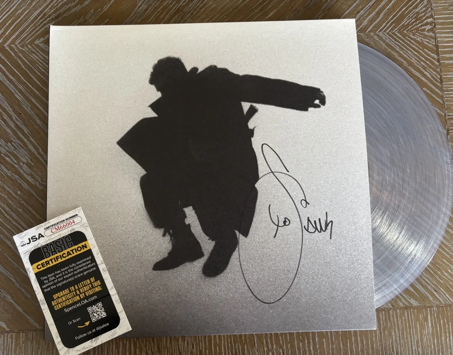 DEL WATER GAP CHASING THE CHIMERA SIGNED VINYL LP RECORD JSA COA autograph, изображение 2